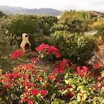Bellavista-holiday-home